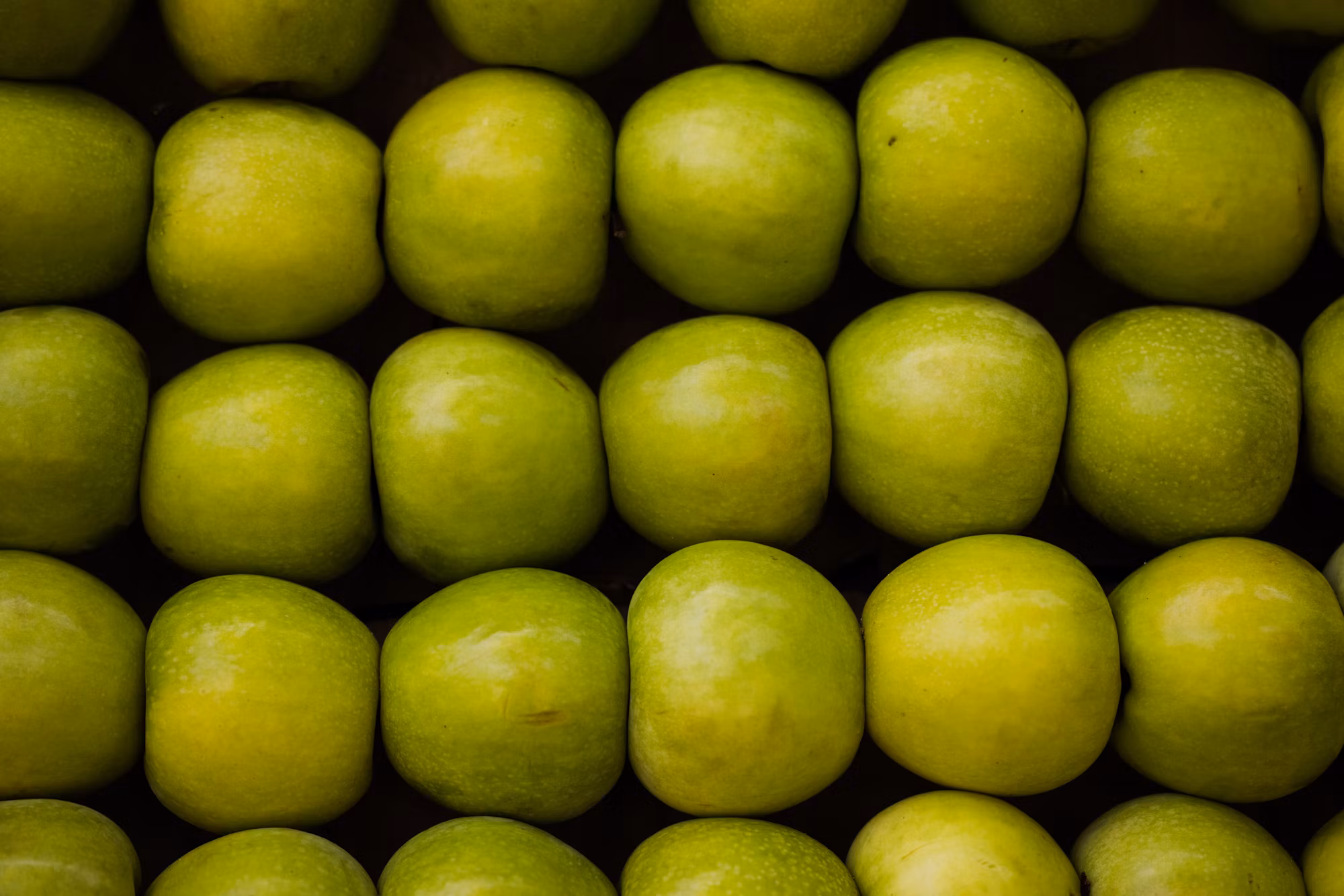 Juicing for Joy: Exploring the World of Flavorful Health Drinks